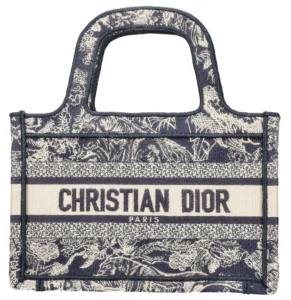 tas Dior mini
