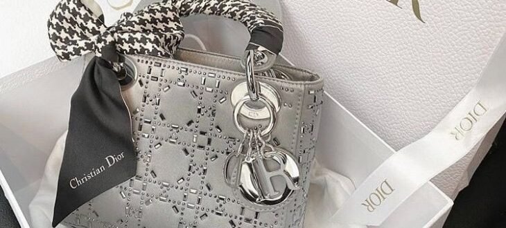 tas Dior mini