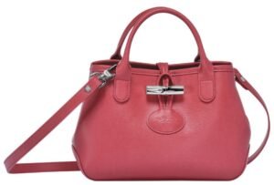 Longchamp bag